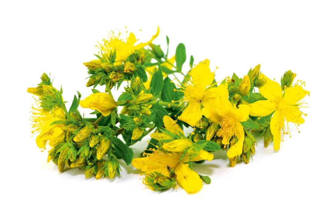 De St. John's Wort an der Spray ZxcvbnMSQWert
