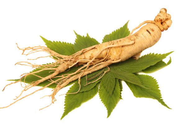 Ginseng Root am Spray ZxcvbnMSPWert