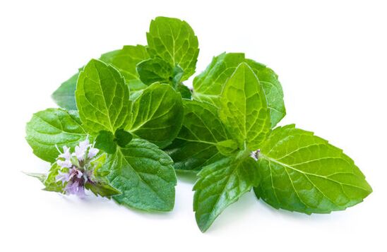 Mint verléisst an den Nicode Spray